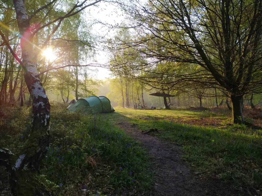 210KB-Tents-on-pitch-F3_Beech-Estate-2023_Micaela-Martino