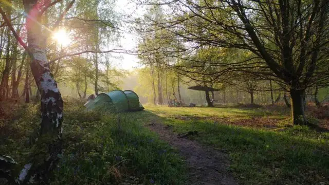 210KB-Tents-on-pitch-F3_Beech-Estate-2023_Micaela-Martino